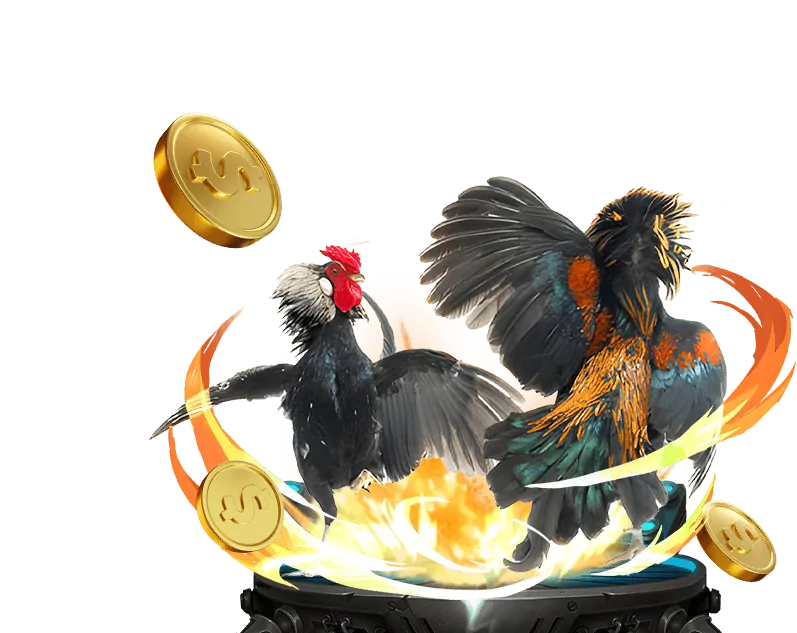 Hình ảnh mẹo và chiến thuật chơi đá gà và game xóc đĩa